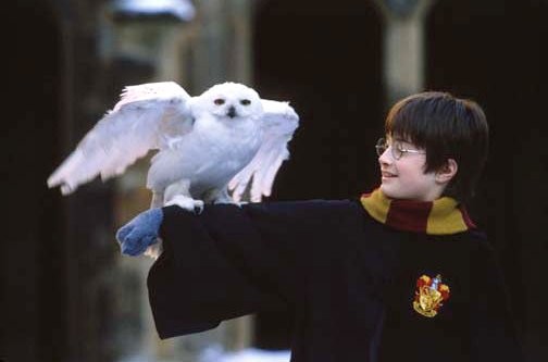 Harry Potter - Neomag.