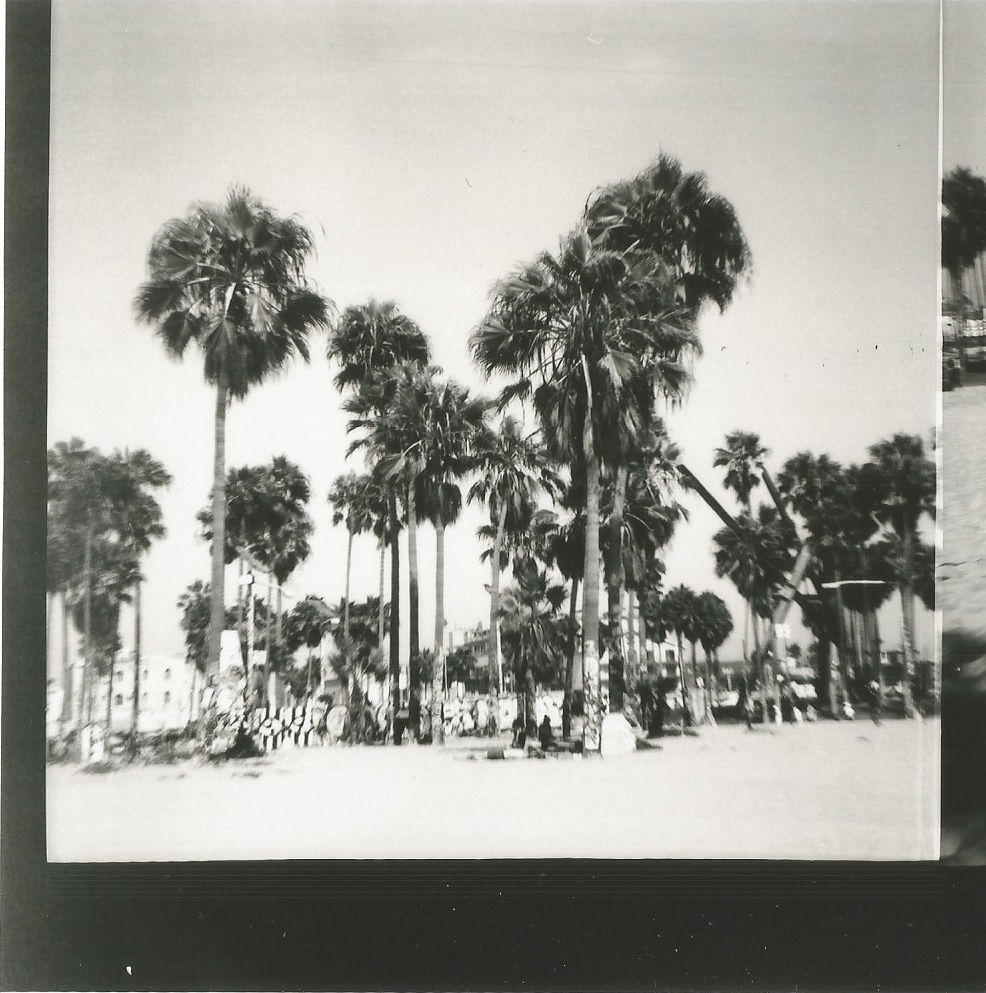 Venice Beach - Lomography Diana F 6 - Neomag.