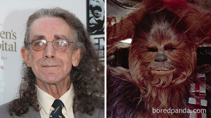 Peter Mayhew - Chewbacca - Neomag.