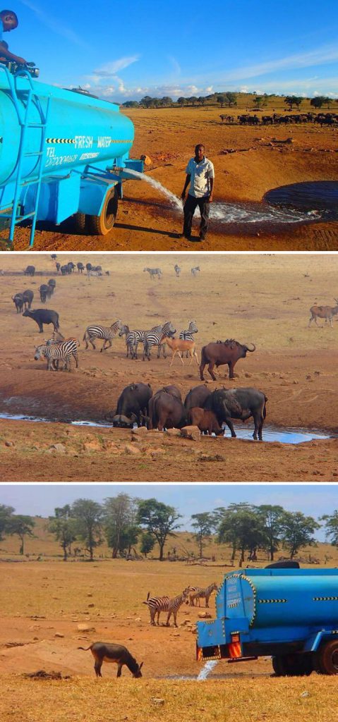Acqua ad animali in Kenya - Neomag.