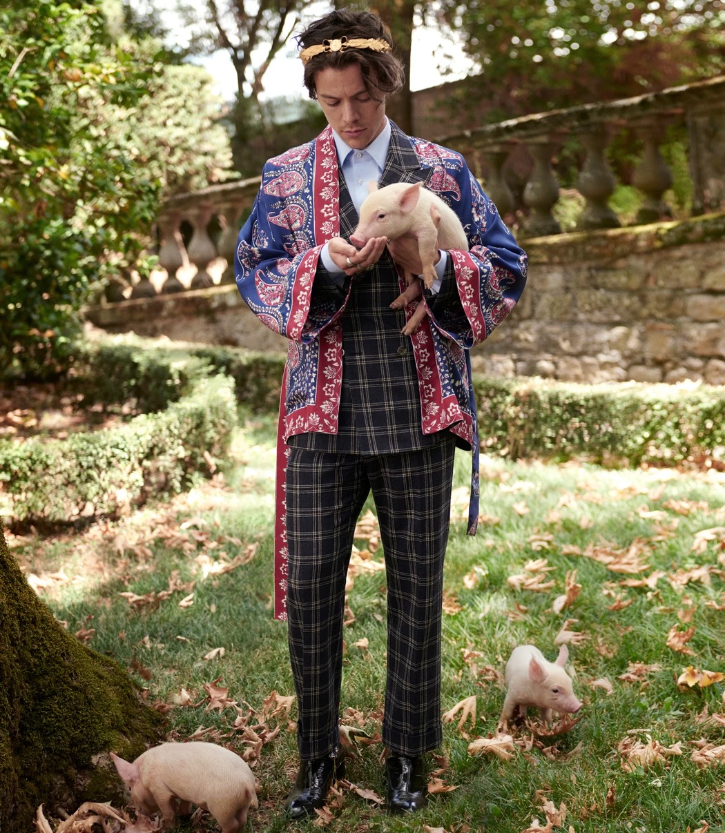 Harry Styles per gucci - neomag.