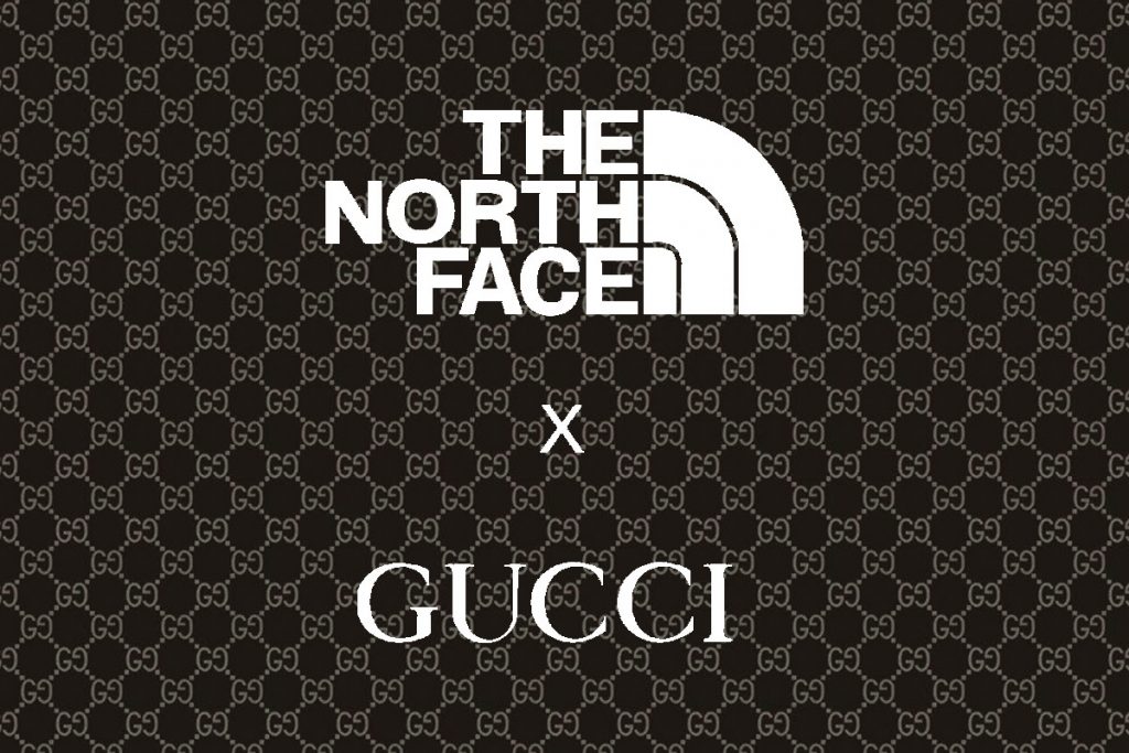 The north face x gucci - neomag.
