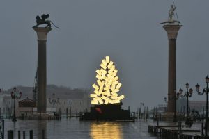 L'albero di Natale a Piazza San Marco - Neomag.