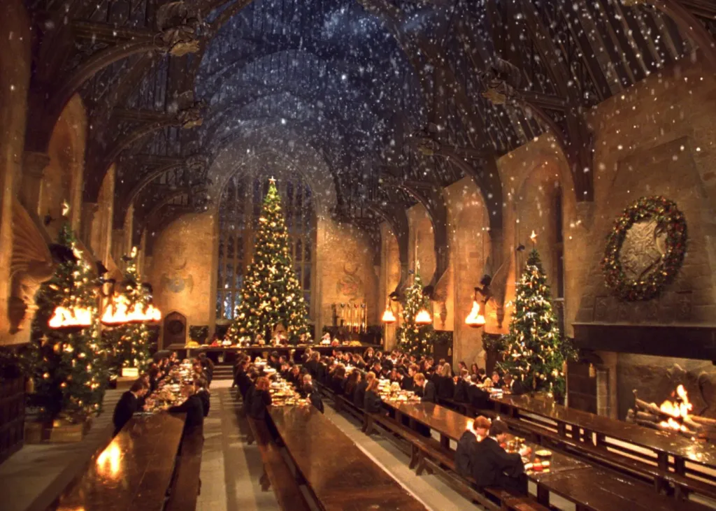 Natale di Harry Potter - neomag.