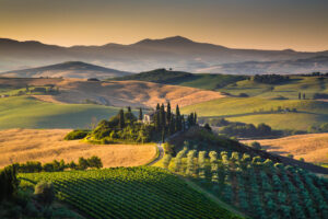 Val d'orcia - Neomag.