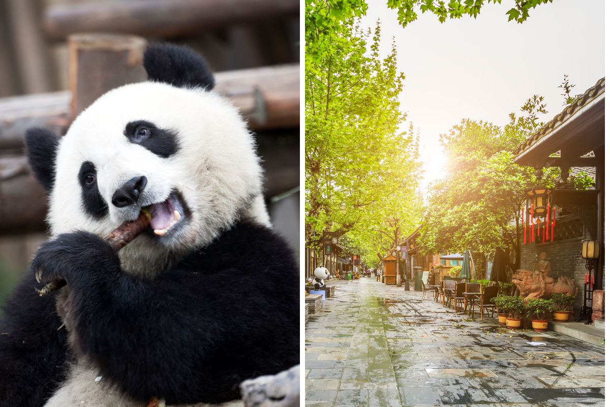 Chengdu – Neomag. Chengdu - Neomag.